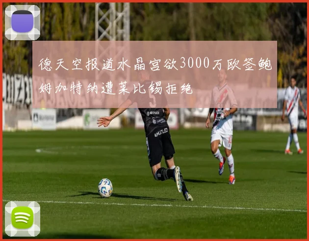 德天空报道水晶宫欲3000万欧签鲍姆加特纳遭莱比锡拒绝