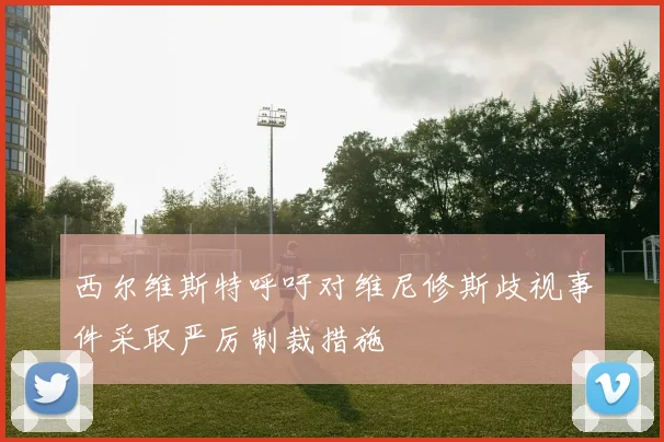 西尔维斯特呼吁对维尼修斯歧视事件采取严厉制裁措施